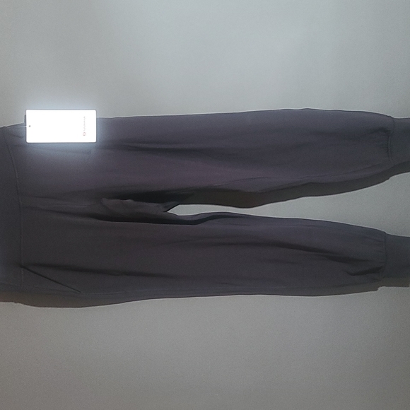 Lululemon Align HR jogger - Picture 2 of 6